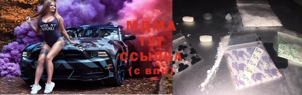 прущие грибы Белая Калитва