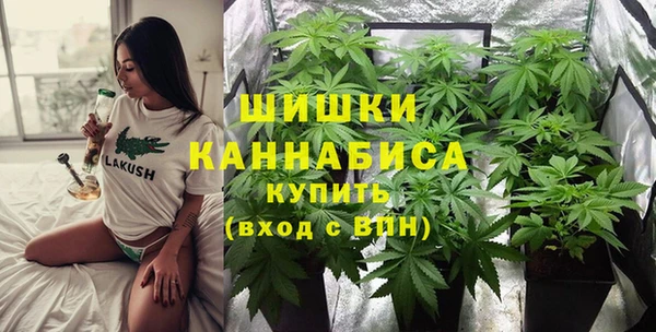 PSILOCYBIN Бородино