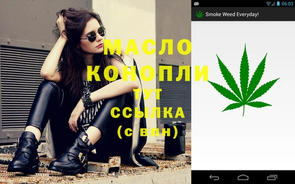 PSILOCYBIN Бородино
