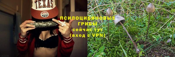 стафф Богородицк