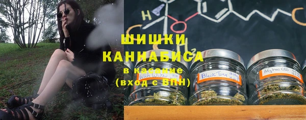 PSILOCYBIN Бородино