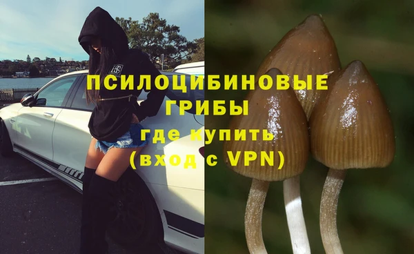 стафф Богородицк
