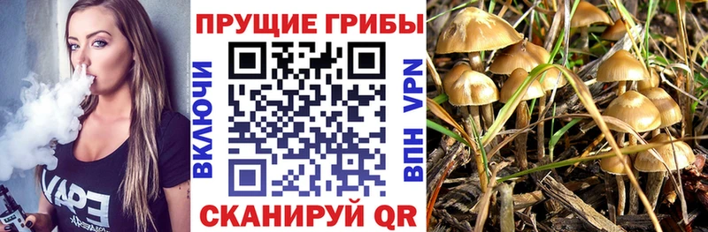 blacksprut рабочий сайт  Выборг  Галлюциногенные грибы мицелий  где купить  