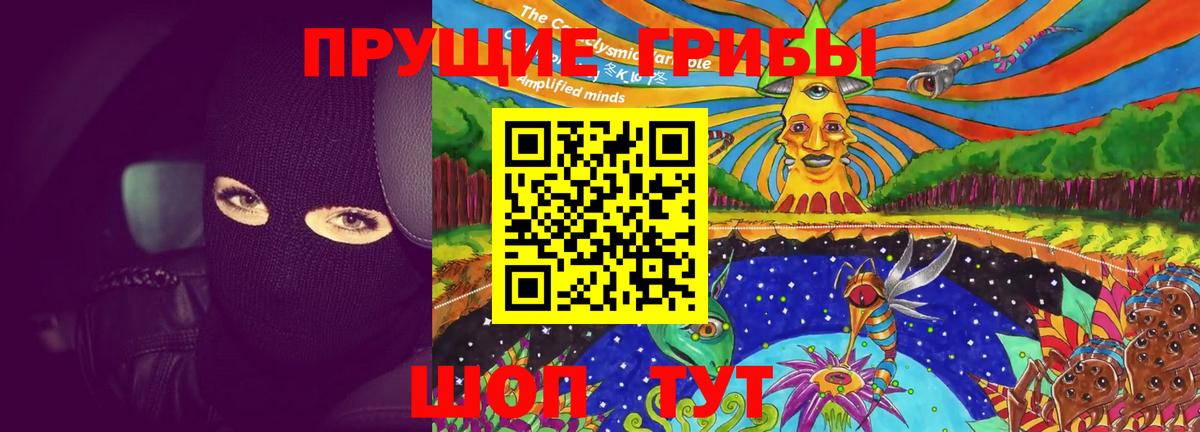 Псилоцибиновые грибы GOLDEN TEACHER Выборг