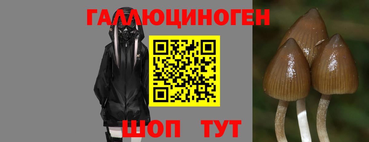 Бошки Шишки  Гашиш  Меф МЯУ МЯУ кристаллы  Вход с VPN  Cocaine  ГАШИШ  Выборг  Меф МЯУ МЯУ  COCAIN 