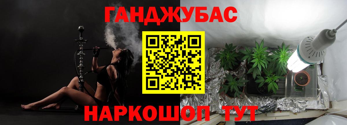 Бошки Шишки тримм  Конопля тримм  Выборг  Вход с VPN  Марихуана тримм 